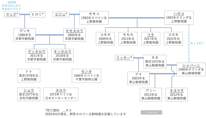 動物園のゴリラ　相関図　家系図
